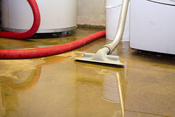 Best Local water damage restoration  in Fullerton, PA