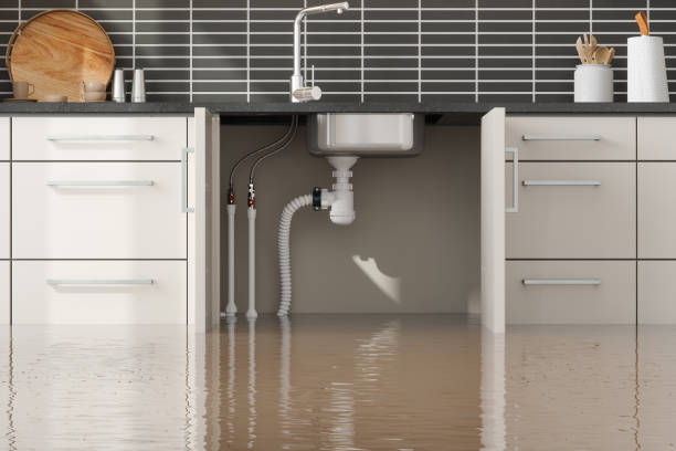 Best Flood damage cleanup  in Fullerton, PA